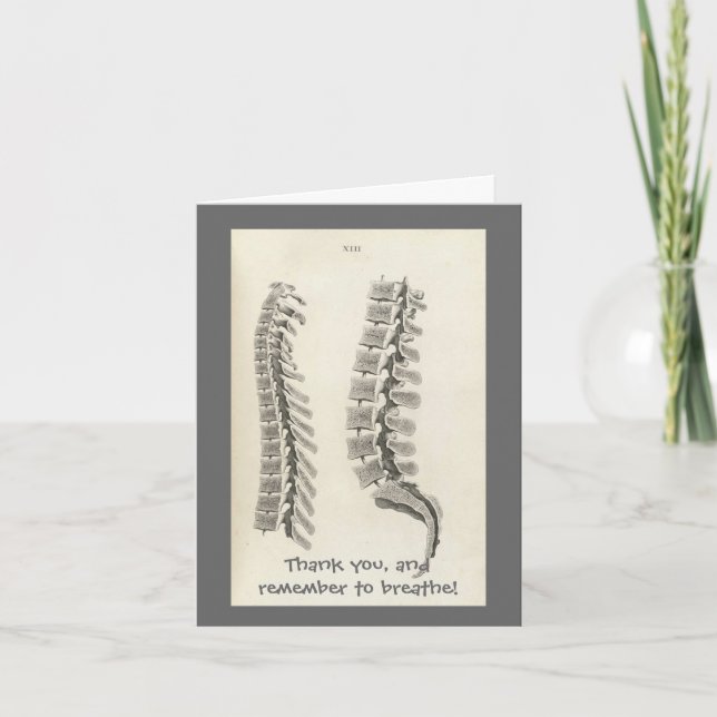 Vertebrae Drawing Letterpress Thank You Card (Front)