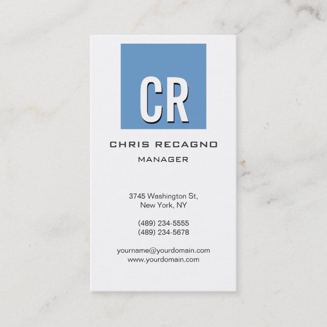 Vertical Blue Gray White Background Business Card (Front)