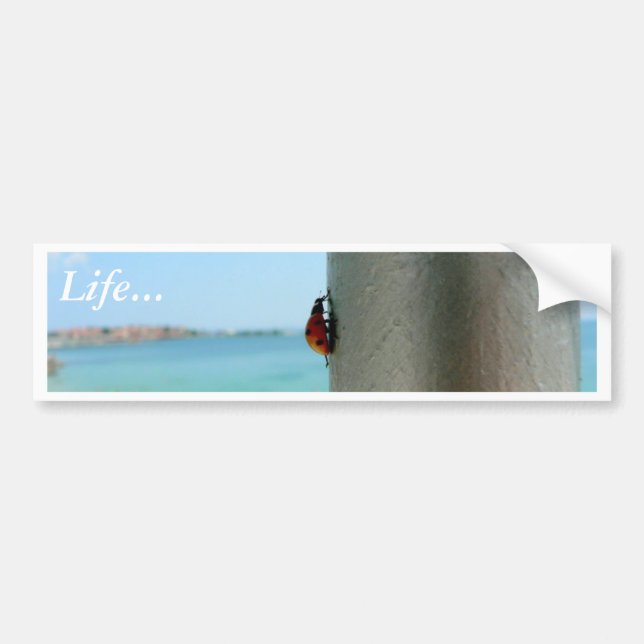 Vertical Ladybug Bumper Sticker (Front)