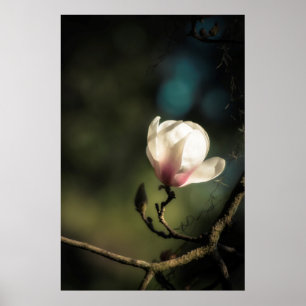 Vertical magnolia poster