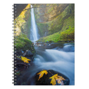 Vertical panorama view of Tunnel Falls Notebook