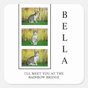 Vertical Pet Memorial Layout with Photo Trio Square Sticker