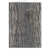 Vertical texture of tree bark (Front)