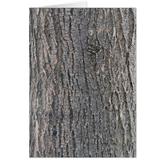 Vertical texture of tree bark cards (Front)