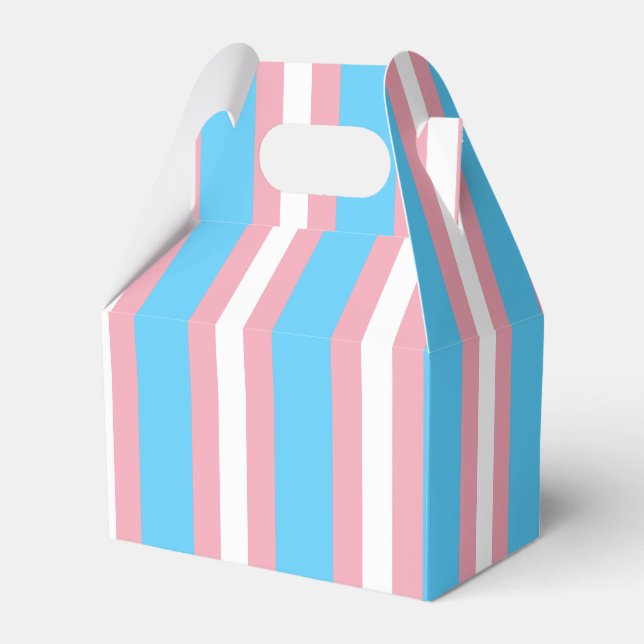 Vertical Transgender Pride Flag Favor Boxes (Front Side)