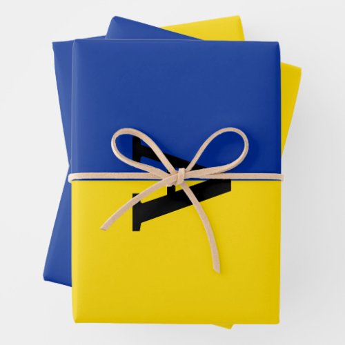 Vertical Ukraine Flag blue and yellow monogram Wrapping Paper Sheets