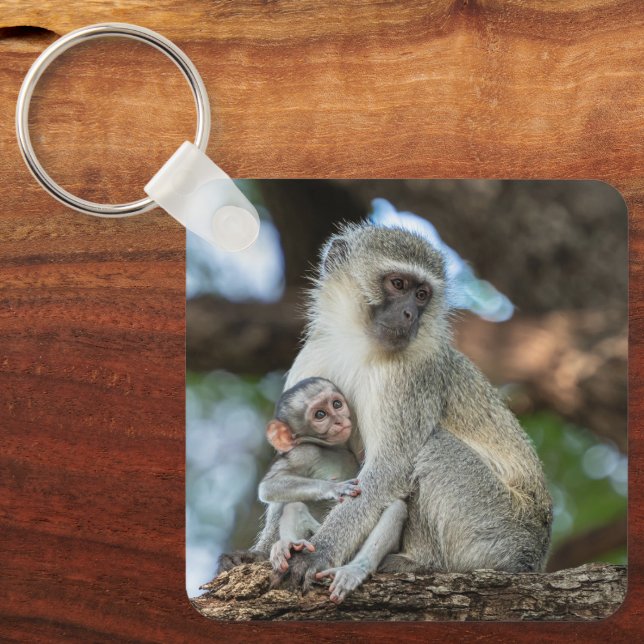 Vervet Monkey, Gentle Nature Keychain (Front)