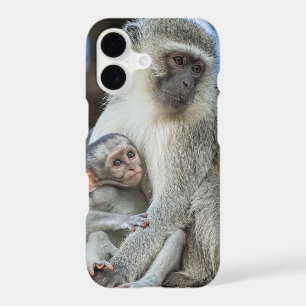 Vervet Monkey Hugging iPhone 17 Case