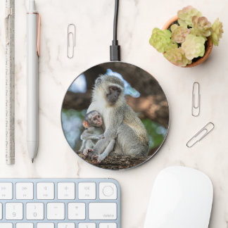 Vervet Monkey in Natural Habitat Wireless Charger