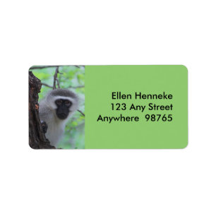 Vervet Monkey Label