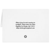 Vervet Monkey Morning Cards (Back Horizontal)