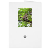 Vervet Monkey Mother and Child Card (Back)