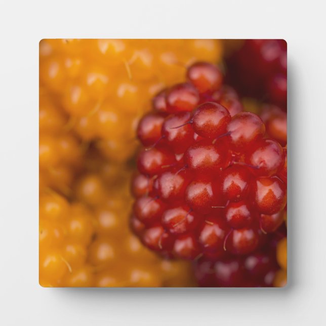Very Berry Plaque (Front)