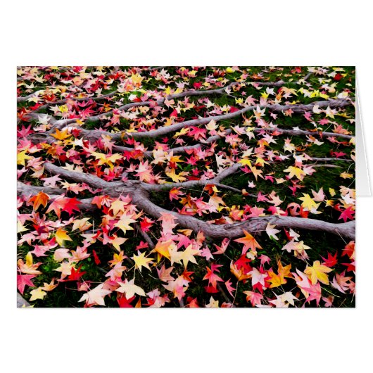 Very Colorful Maple Leaves Cards (Front Horizontal)