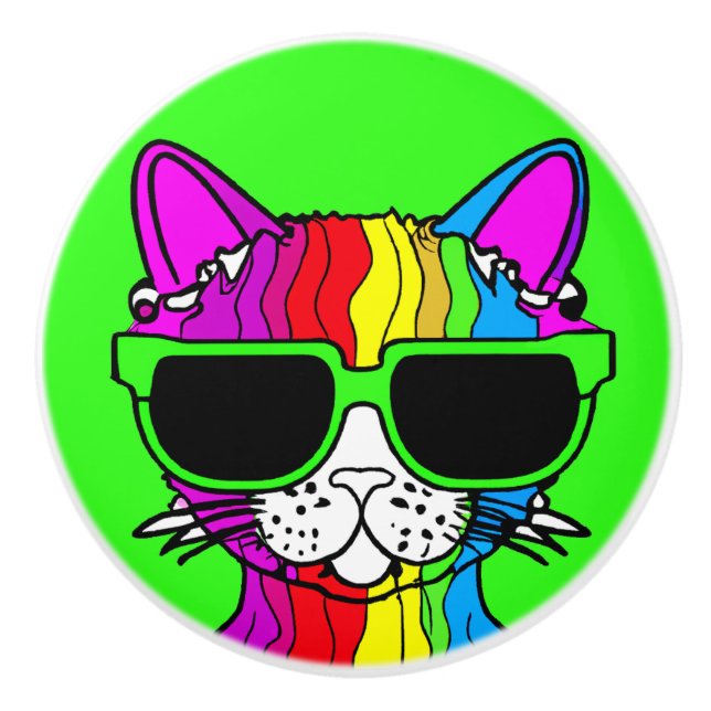 Very Cool Rainbow Cat with Sunglass on Green       Ceramic Knob (Front)