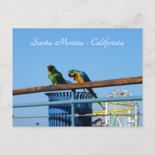 Very Cool Santa Monica Postcard! Postcard