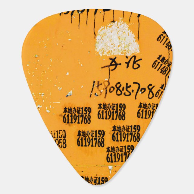 Very Cool Unique Exotic Guitar Pick (Back)