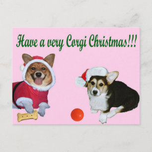 Very Corgi Christmas M & G Pink Postcard