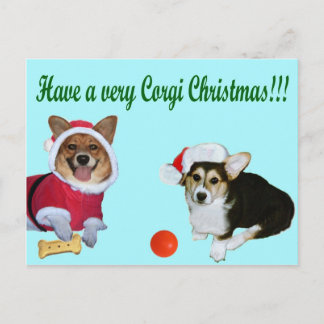 Very Corgi Christmas M & G Turquoise Postcard