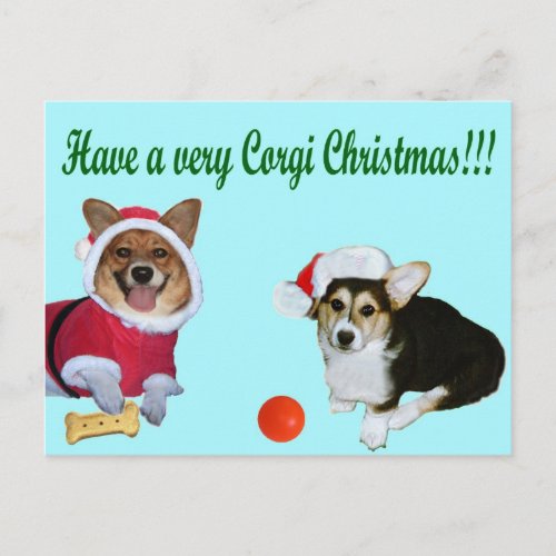 Very Corgi Christmas M  G Turquoise Postcard