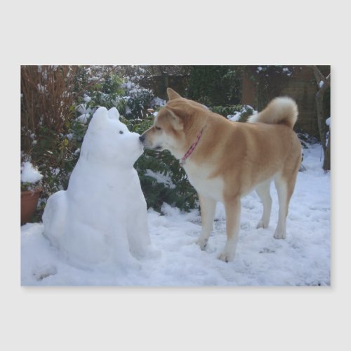 very cute akita kissing snowman akita dog