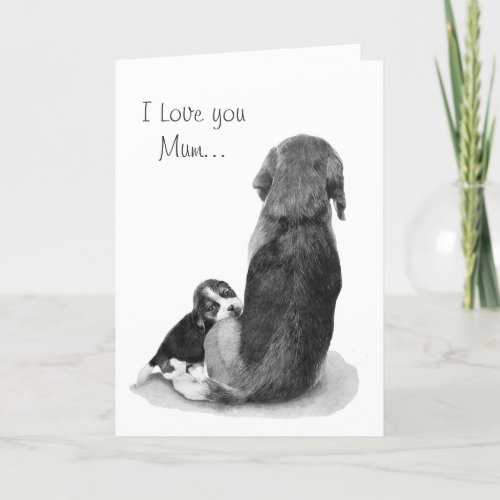 very cute beagle puppy with mum card