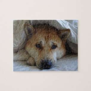 very cute picture of sleeping dog jigsaw puzzle