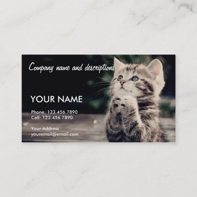 Very Cute Praying Cat Business Card (Front)