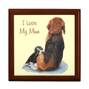 very cute puppy beagle cuddling mom dog jewelry box