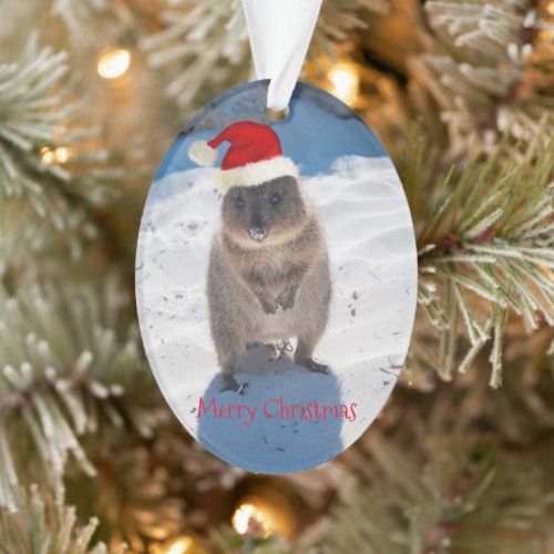 Very cute quokka Merry Christmas Ornament