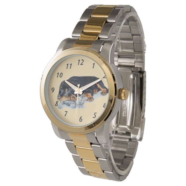 very cute rottweiler puppy dog  watch (Angled)