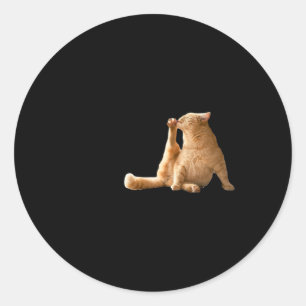 Very Demure Mindful Cly Meme Funny Cat Classic Round Sticker
