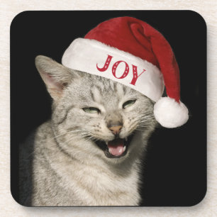 Very Funny Santa Cat Laugh Photo Christmas Beverage Coaster
