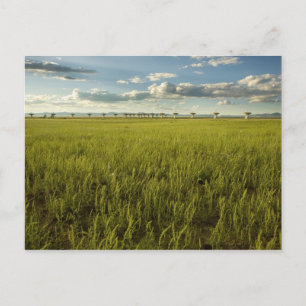 Very Large Array Postcard