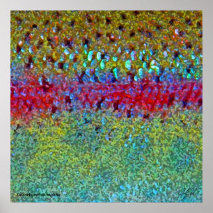 Very Large Rainbow Trout Poster
