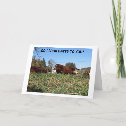 VERY MAD COW SAYS UNHAPPY BECAUSE I MISS YOU CARD