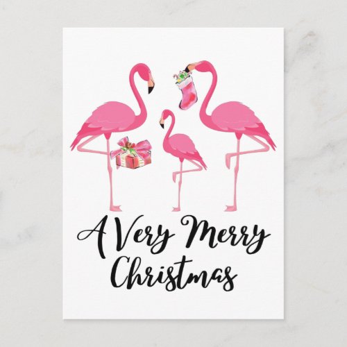 Very Merry Christmas Flamingos Holiday Postcard