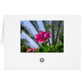 Very Pink Hibiscus Card (Back Horizontal)