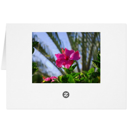 Very Pink Hibiscus Card (Back Horizontal)