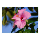 Very Pink Hibiscus Card