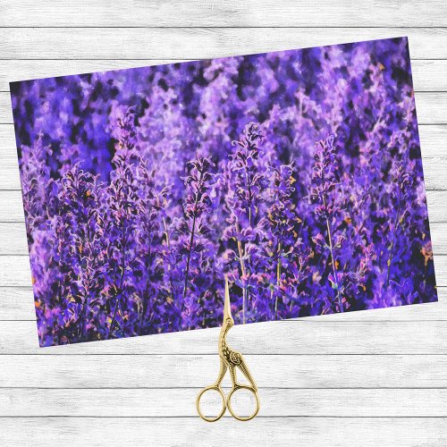 Very Purple Artsy Lavender Fields  Tissue Paper
