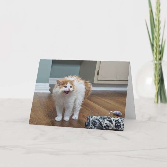 "Very Scary" - Dewey is all floofed up Card (Front)