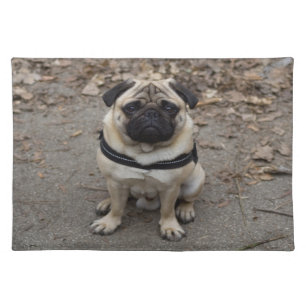 Very Serious Pug Cloth Placemat