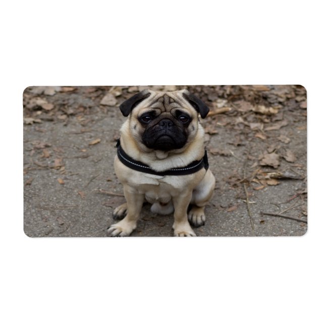 Very Serious Pug Label (Front)