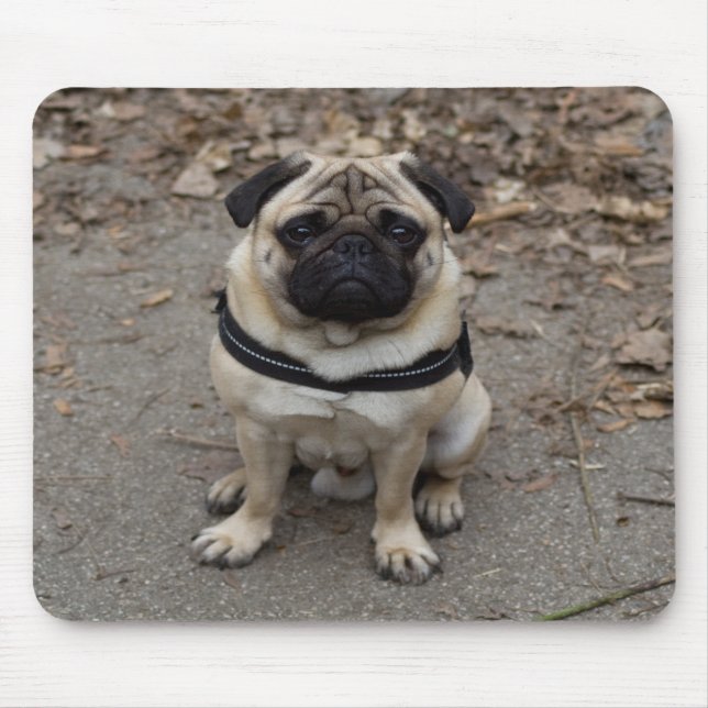 Very Serious Pug Mouse Pad (Front)