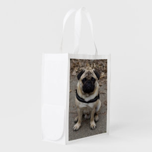 Very Serious Pug Reusable Grocery Bag