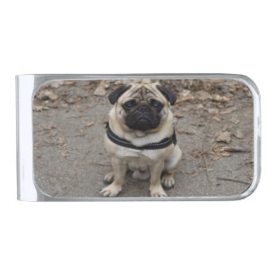 Very Serious Pug Silver Finish Money Clip