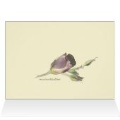 Very Special blank-customize any occasion Cards (Inside Horizontal (Top))