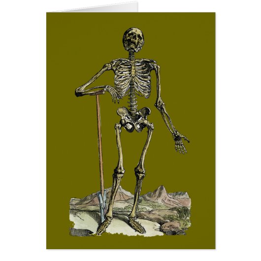 Vesalius: Skeletal System Cards (Front)