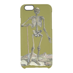 Vesalius: Skeletal System Clear iPhone 6/6S Case